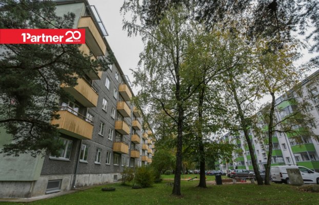 картина 14 of 16