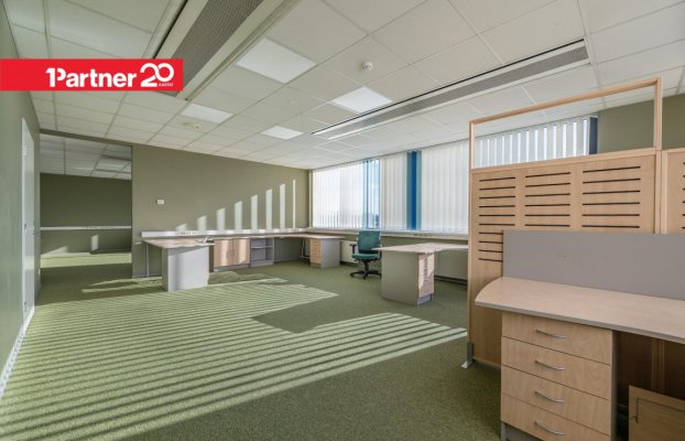 картина 4 of 20