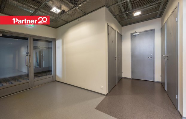 картина 10 of 20