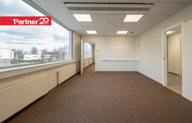 картина 2 of 20