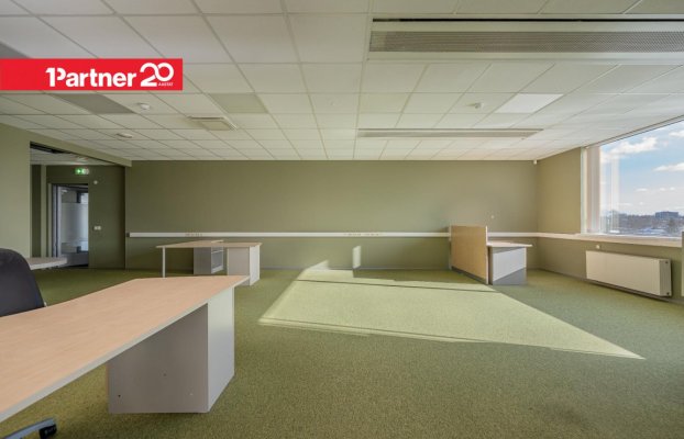 картина 8 of 20