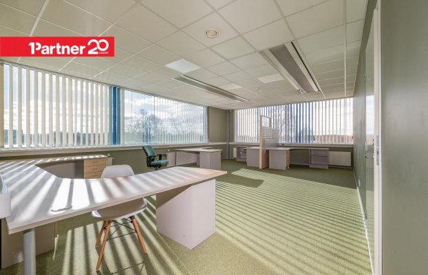 картина 5 of 20