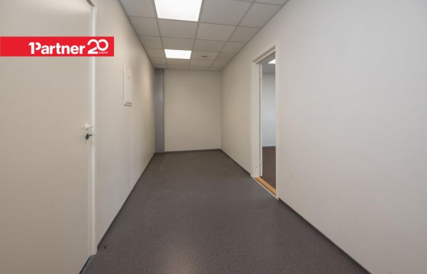 картина 4 of 20