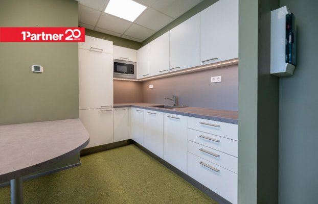 картина 6 of 20