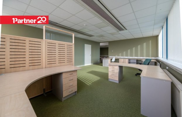 картина 7 of 20