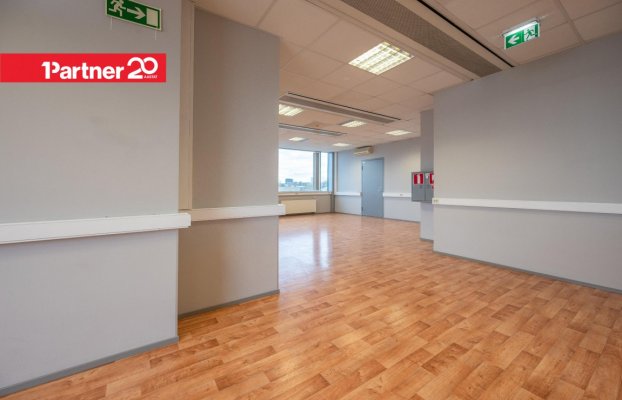 картина 11 of 26