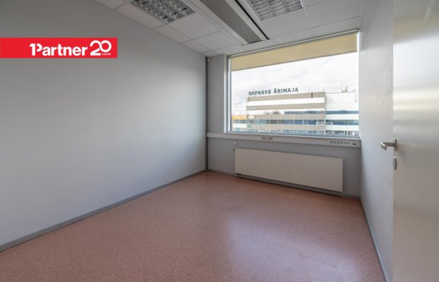 картина 13 of 26