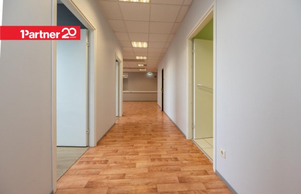 картина 7 of 26