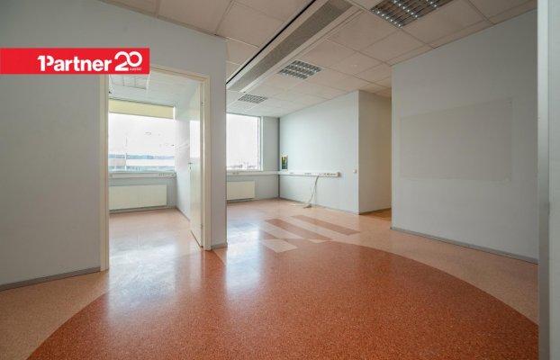 картина 15 of 26