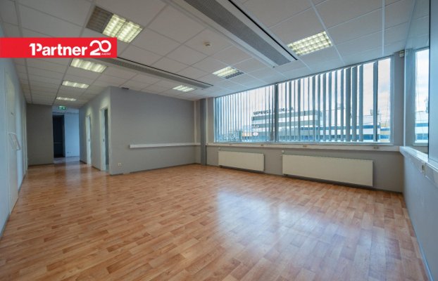 картина 8 of 26