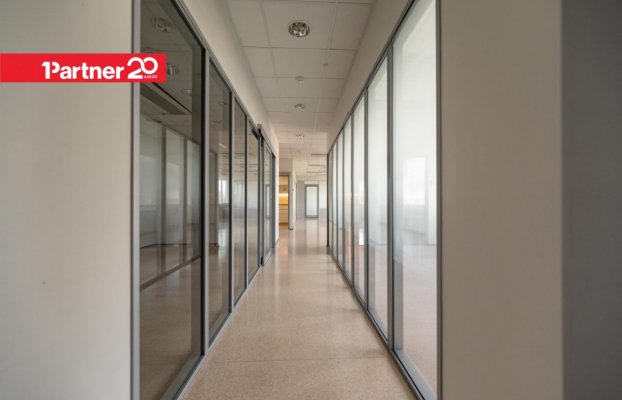 картина 14 of 26