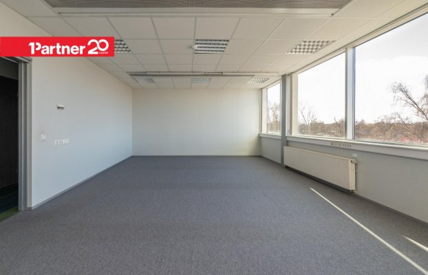 картина 17 of 27