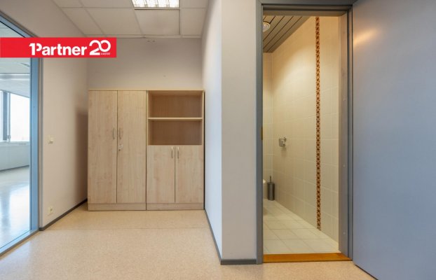 картина 15 of 26