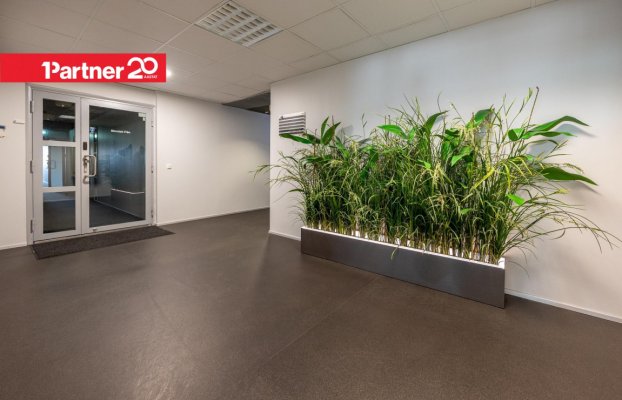 картина 18 of 27