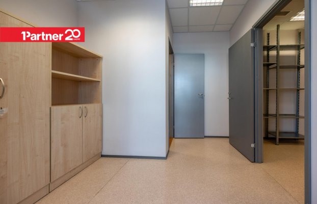 картина 17 of 26