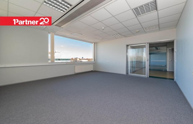 картина 13 of 27