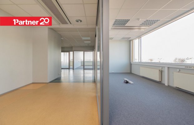 картина 4 of 27