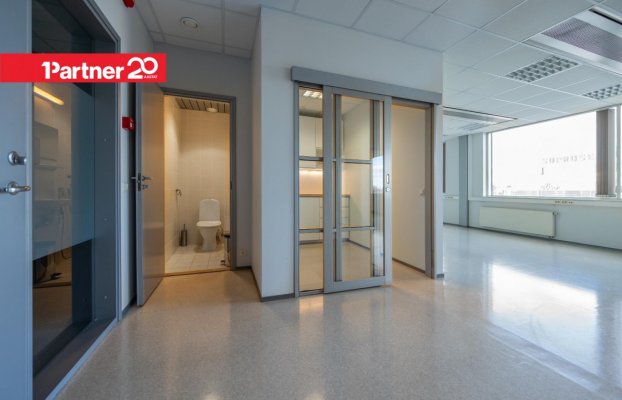 картина 4 of 26