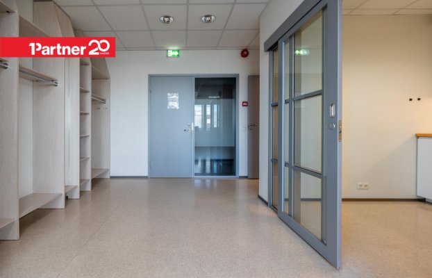 картина 8 of 26