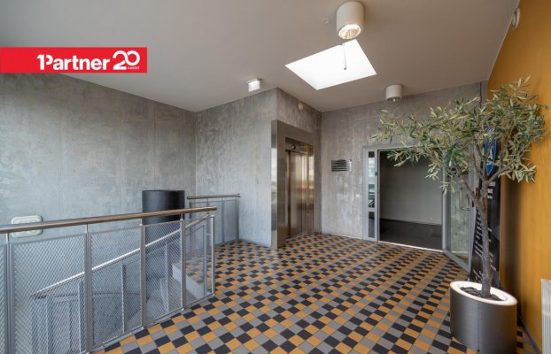 картина 19 of 27