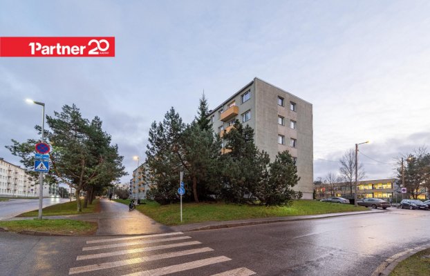 картина 24 of 26