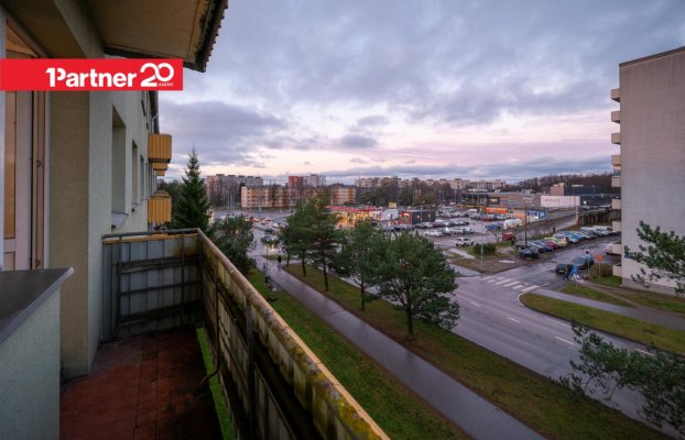 картина 11 of 26