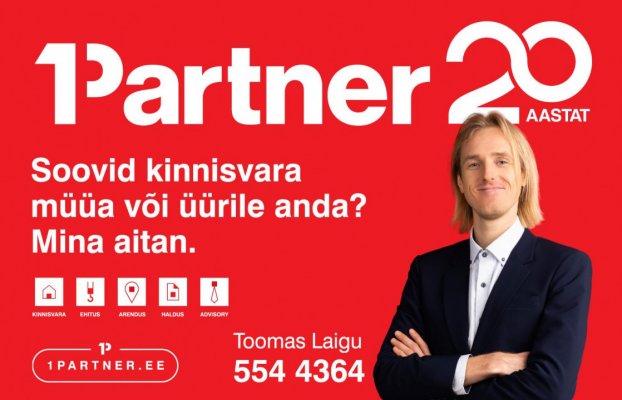 картина 26 of 26