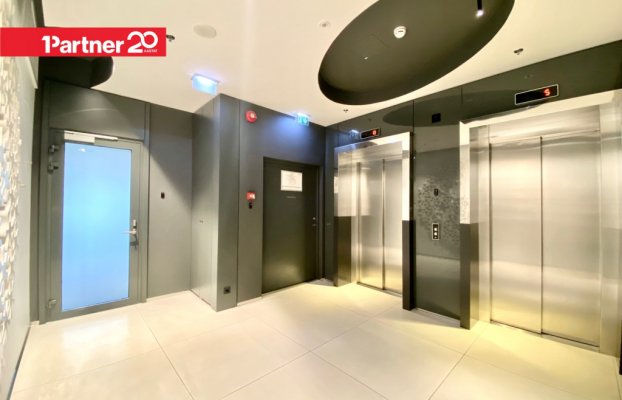 картина 5 of 33