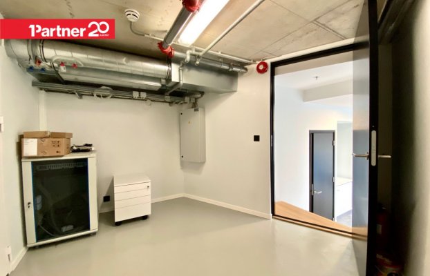 картина 17 of 33