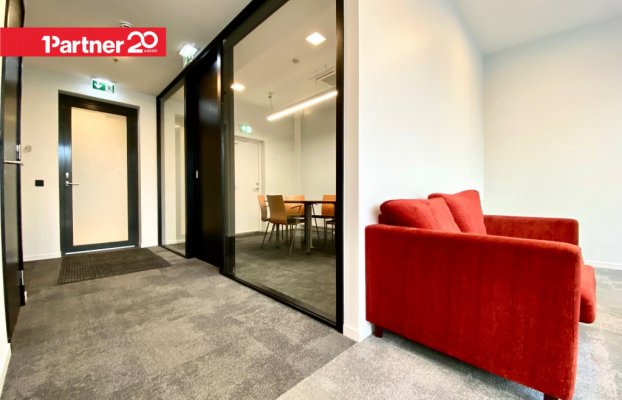 картина 6 of 33