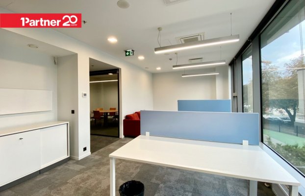 картина 13 of 33