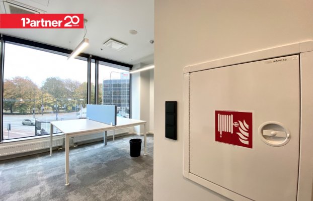 картина 24 of 33