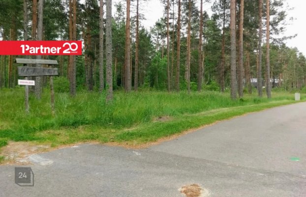 картина 4 of 14