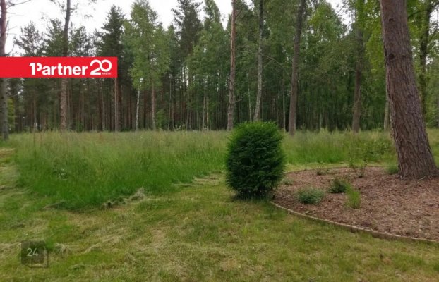 картина 6 of 14