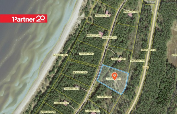 картина 11 of 14