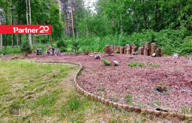 картина 5 of 14