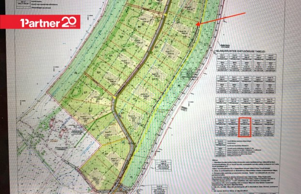 картина 13 of 14