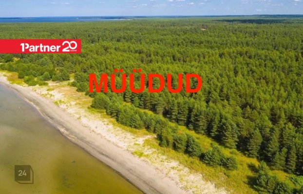 картина 1 of 14