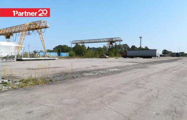 картина 5 of 12