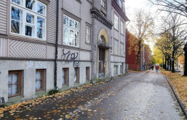 картина 25 of 26