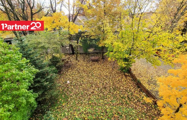 картина 10 of 29