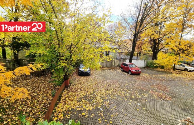 картина 24 of 29