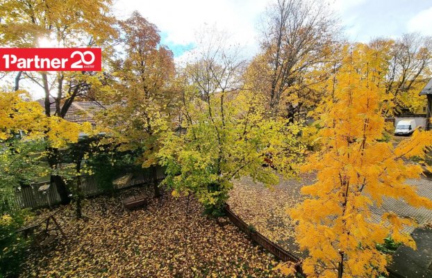 картина 11 of 29