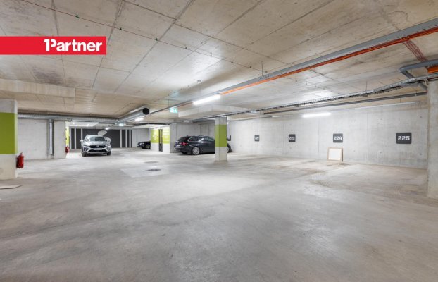 Image 25 of 34
