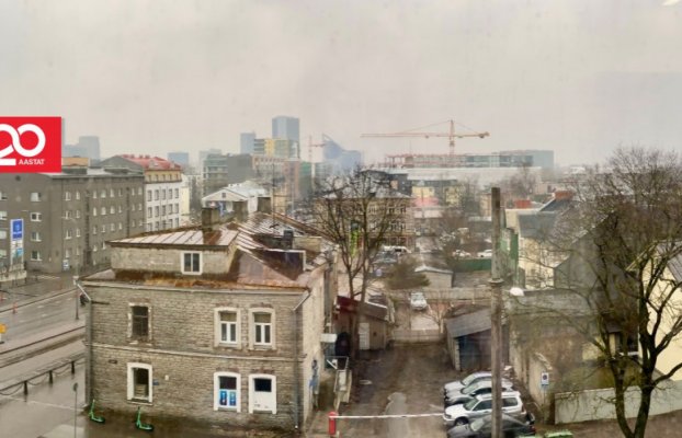 картина 12 of 20