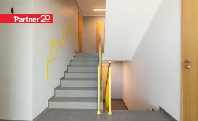 Image of PARKIMISKOHAGA JA SUURE PANIPAIGAGA KORTER KADRIORU NAABRUSES