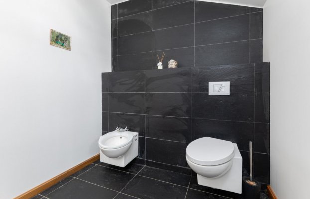 Image 37 of 50