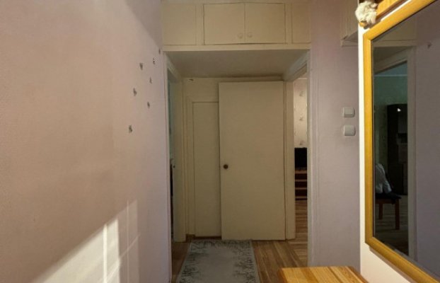 Image 4 of 16