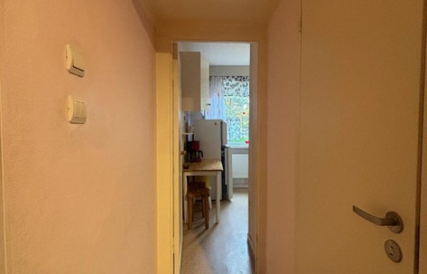 Image 6 of 16