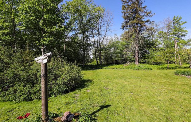 Image 41 of 46
